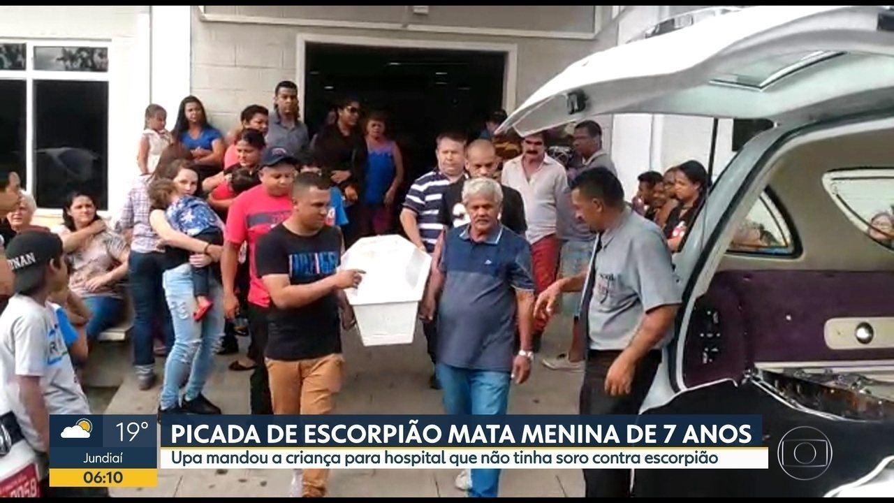 Pol Cia Investiga Morte De Menina De Anos Ap S Picada De Escorpi O Em